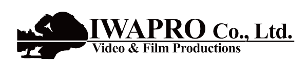 IwaproWebSite